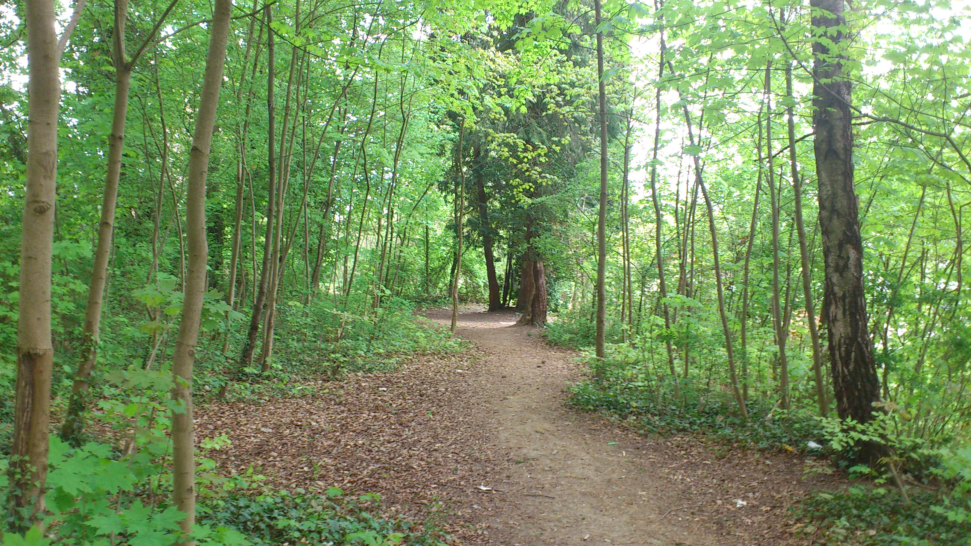 Wildergrundpark Maihälden - Waldweg durch den naturnahen Spielplatz